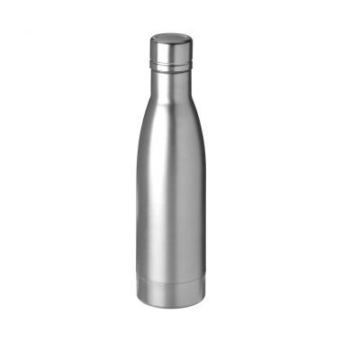 Zilvere Vacuüm geïsoleerde drinkfles | 500 ml