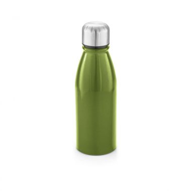 Lichtgroene Drinkfles | RVS | 500 ml