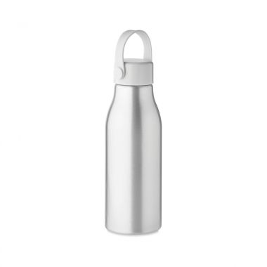 Zilvere Drinkfles | Enkelwandig | 650ml